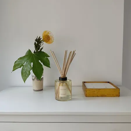 Luz De Lua * Padrón