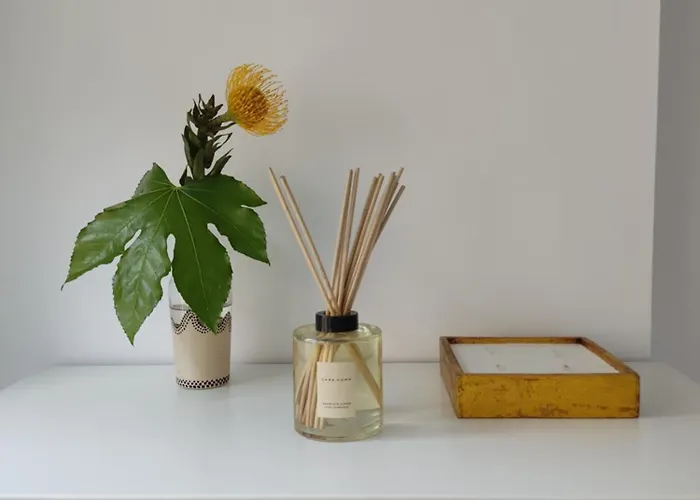 Luz De Lua * Padrón